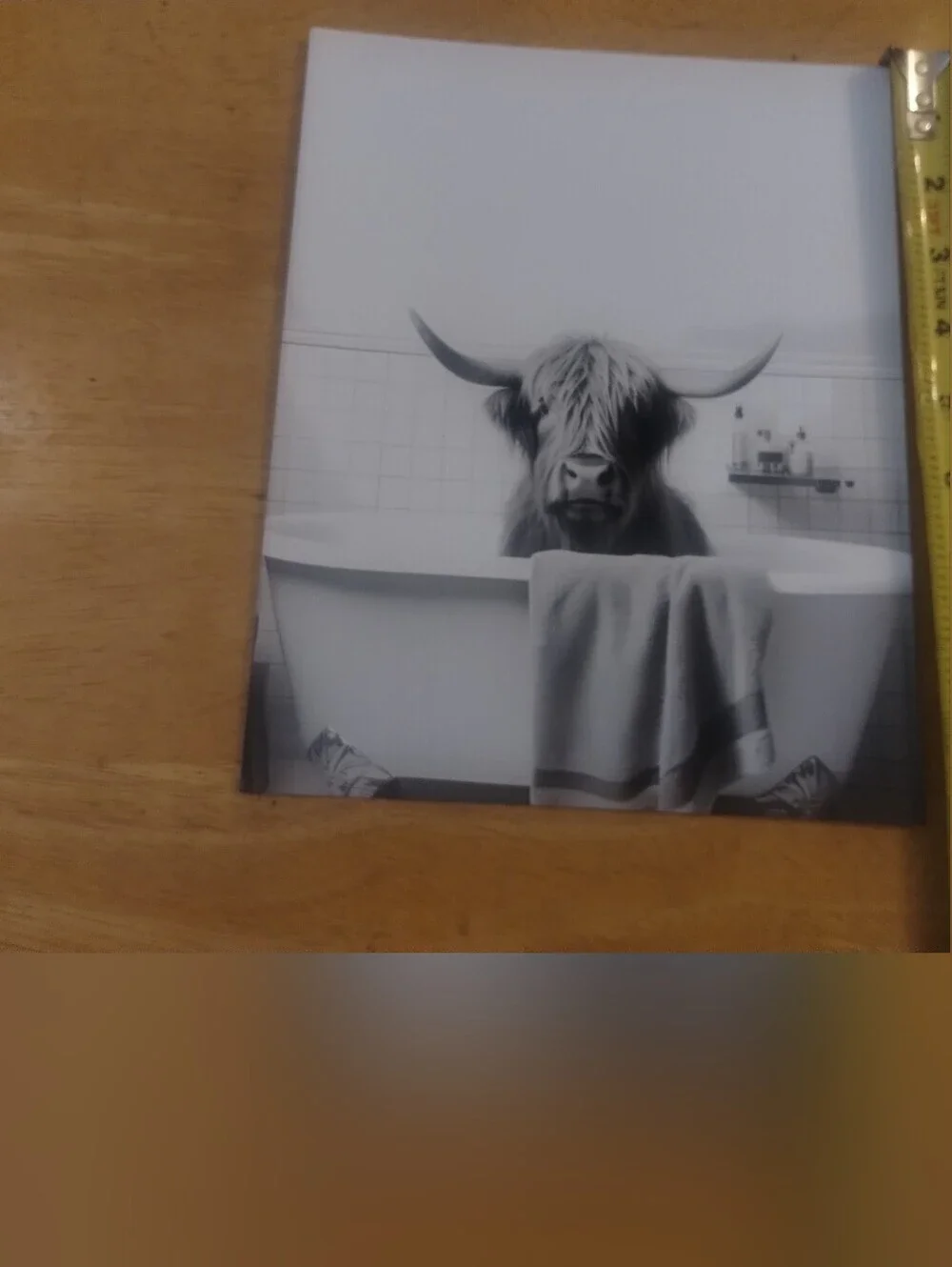 Highland Cow Bathtub Wall Art Print Black White Farmhouse Bathroom Decor 8x10